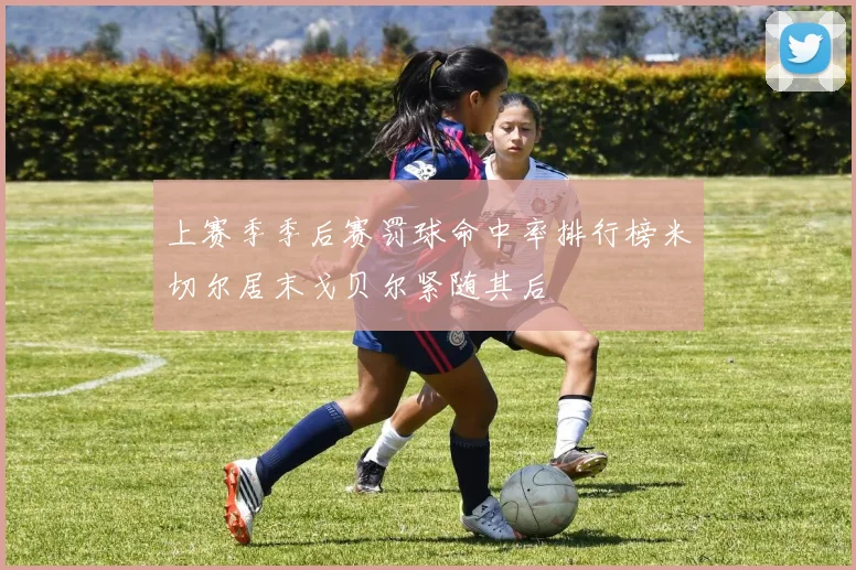 上赛季季后赛罚球命中率排行榜米切尔居末戈贝尔紧随其后